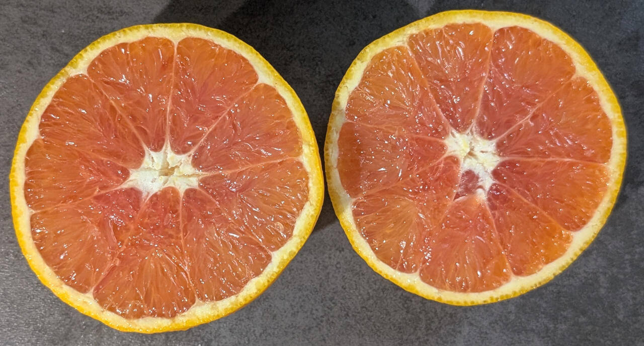 Das Innere der Cara Cara Orange weiß von sich zu überzeugen