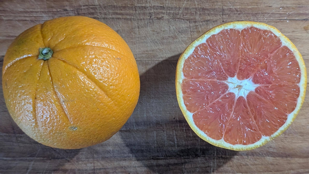 Die Orangensorte Cara Cara ist die bekannteste Rose Orange