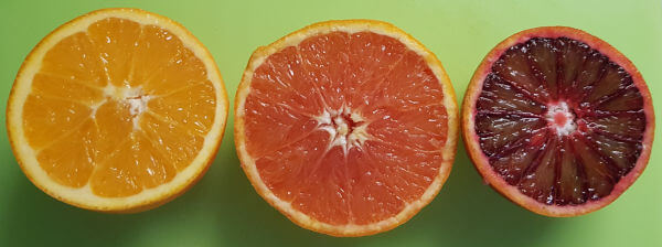 Cara Cara Orange im Vergleich zu Navelina und Moro