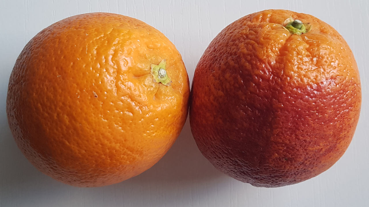 Das Äußere zweier Halbblutorange: Die eine normal orange, die andere mit roten Stellen