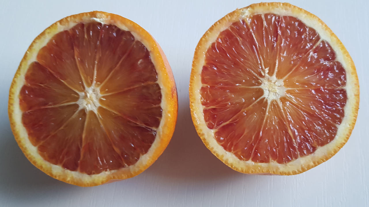 Das Innere einer Halbblutorange