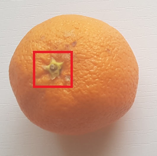 Farbe des Stielansatzes zeigt wie frisch eine Orange ist
