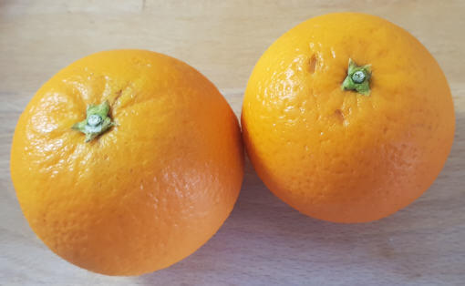 Zwei Salustiana Orangen nebeneinander